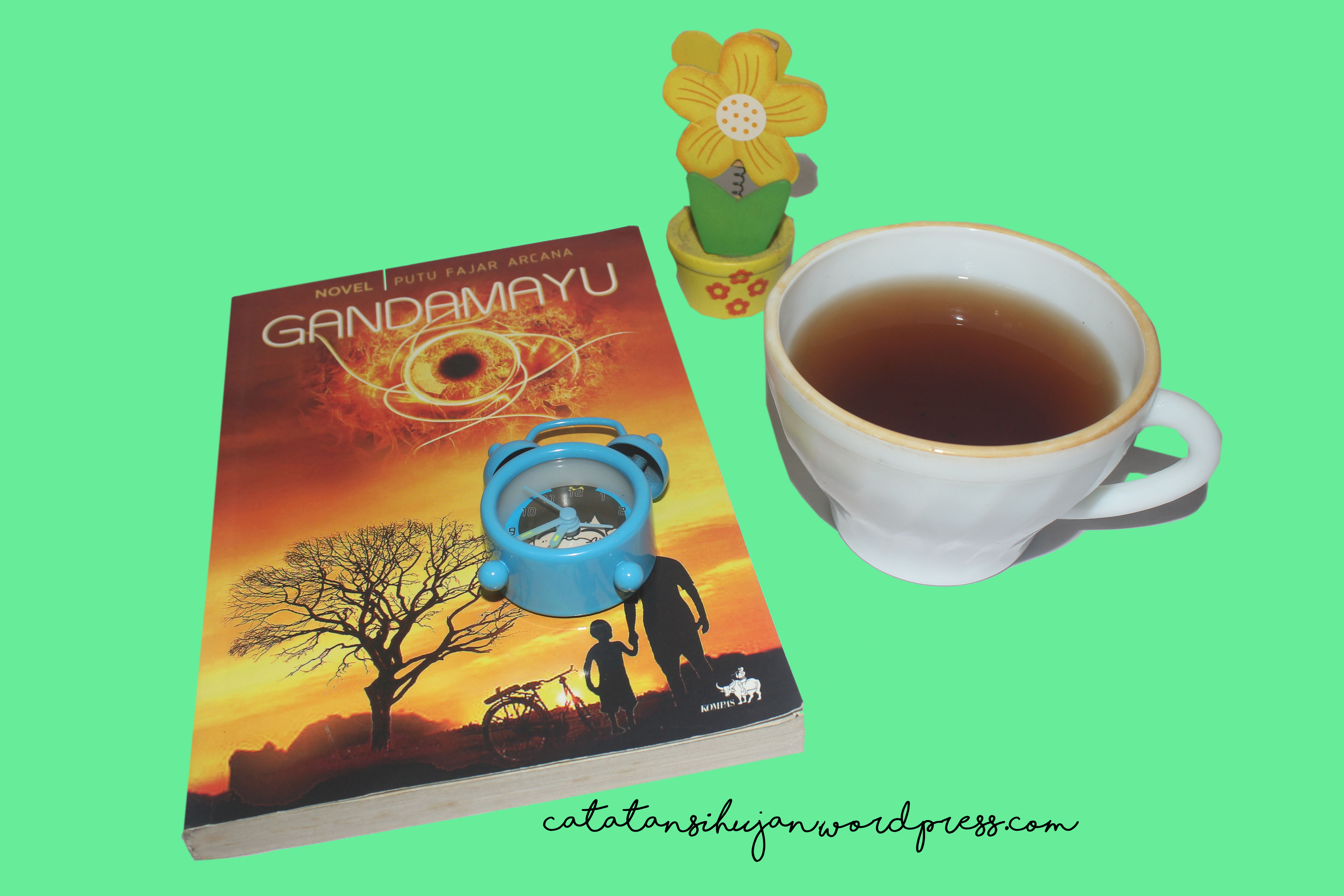 Resensi Novel – Gandamayu: Perempuan dalam Dominasi Pria yang Sulit Dibantahkan