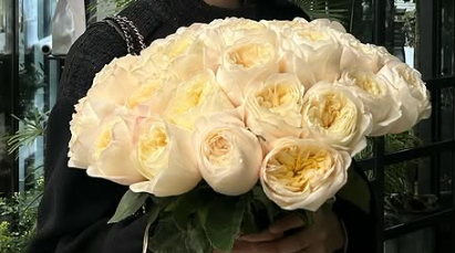 Kembali, Datang. Namun Akhir yang Berbeda!